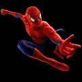 Spiderman (The movie)